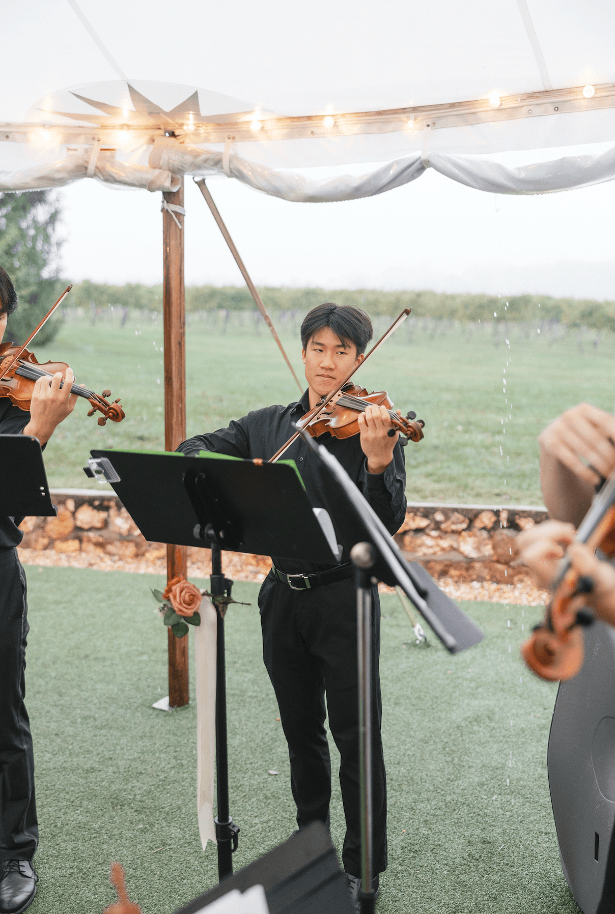 Caleb Wang, Violin